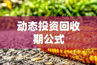 动态投资回收期公式  第1张