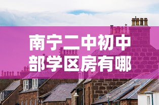 南宁二中初中部学区房有哪些小区  第1张