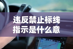 违反禁止标线指示是什么意思罚多少钱  第1张