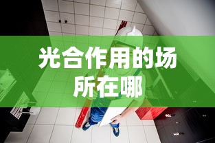 光合作用的场所在哪  第1张