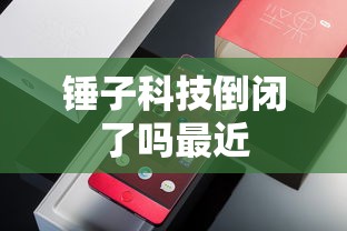 锤子科技倒闭了吗最近  第1张