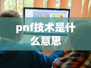 pnf技术是什么意思  第1张