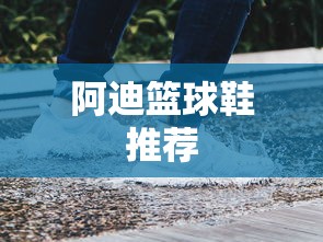 阿迪篮球鞋推荐  第1张