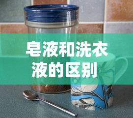 皂液和洗衣液的区别 哪个更好  第1张