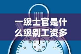 一级士官是什么级别工资多少  第1张