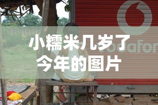 小糯米几岁了今年的图片  第1张