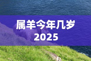 属羊今年几岁2025  第1张