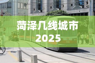 菏泽几线城市2025  第1张