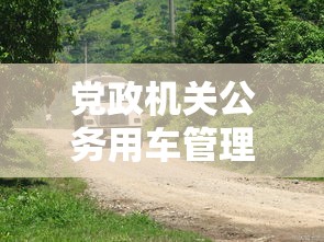 党政机关公务用车管理办法2018年  第1张