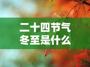 二十四节气冬至是什么意思  第1张