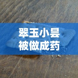 翠玉小昙被做成药材图片  第1张