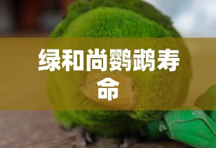 绿和尚鹦鹉寿命  第1张