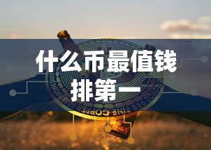 什么币最值钱排第一  第1张