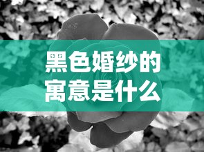 黑色婚纱的寓意是什么意思  第1张
