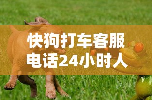 快狗打车客服电话24小时人工服务  第1张