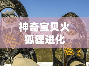 神奇宝贝火狐狸进化  第1张