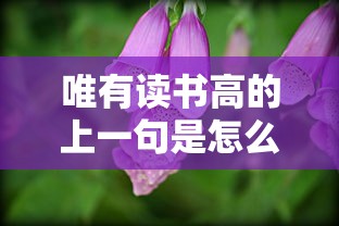 唯有读书高的上一句是怎么说的  第1张
