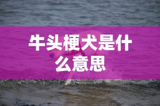 牛头梗犬是什么意思  第1张