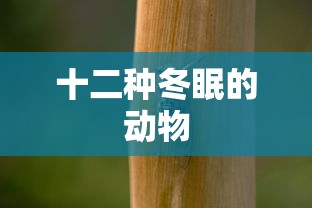 十二种冬眠的动物  第1张