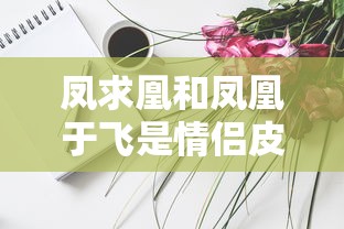 凤求凰和凤凰于飞是情侣皮肤吗?  第1张