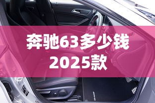 奔驰63多少钱2025款  第1张