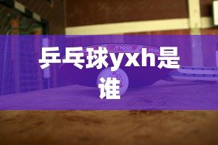 乒乓球yxh是谁  第1张