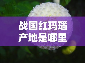 战国红玛瑙产地是哪里的最好  第1张