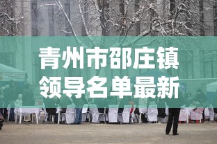 青州市邵庄镇领导名单最新  第1张