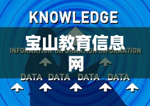 宝山教育信息网  第1张