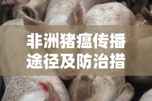非洲猪瘟传播途径及防治措施  第1张