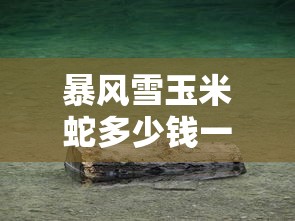 八佰电影免费高清版在线观看  第1张
