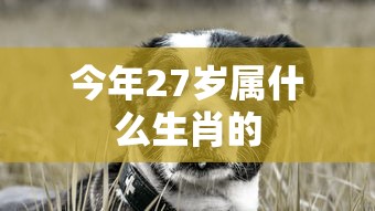 今年27岁属什么生肖的  第1张