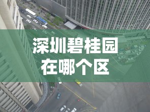 深圳碧桂园在哪个区  第1张