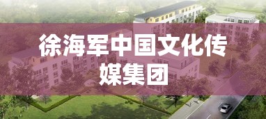 徐海军中国文化传媒集团  第1张