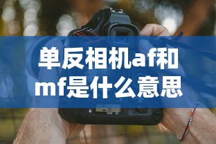 单反相机af和mf是什么意思  第1张
