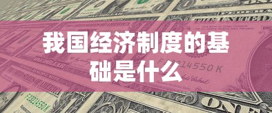 我国经济制度的基础是什么  第1张
