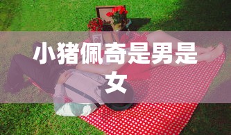 小猪佩奇是男是女  第1张