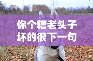 你个糟老头子坏的很下一句该怎么回复  第1张