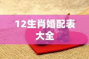12生肖婚配表大全  第1张
