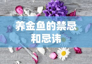 养金鱼的禁忌和忌讳  第1张