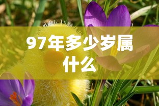 97年多少岁属什么  第1张