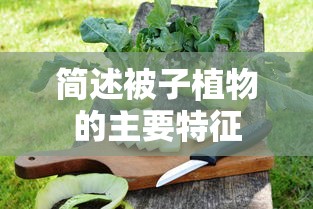 王者荣耀桌面壁纸王昭君李白  第1张