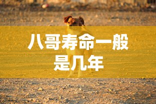 八哥寿命一般是几年  第1张