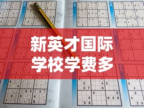 新英才国际学校学费多少钱一年啊  第1张
