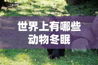 电影血战上海滩免费观看  第1张