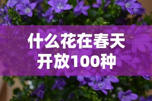 魔骸 醉萧瑟  第1张