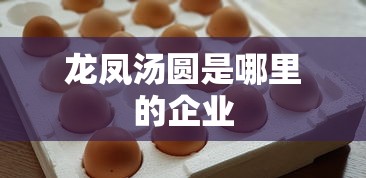 龙凤汤圆是哪里的企业  第1张