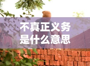 不真正义务是什么意思  第1张