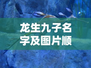 龙生九子名字及图片顺序  第1张