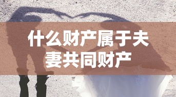 什么财产属于夫妻共同财产  第1张